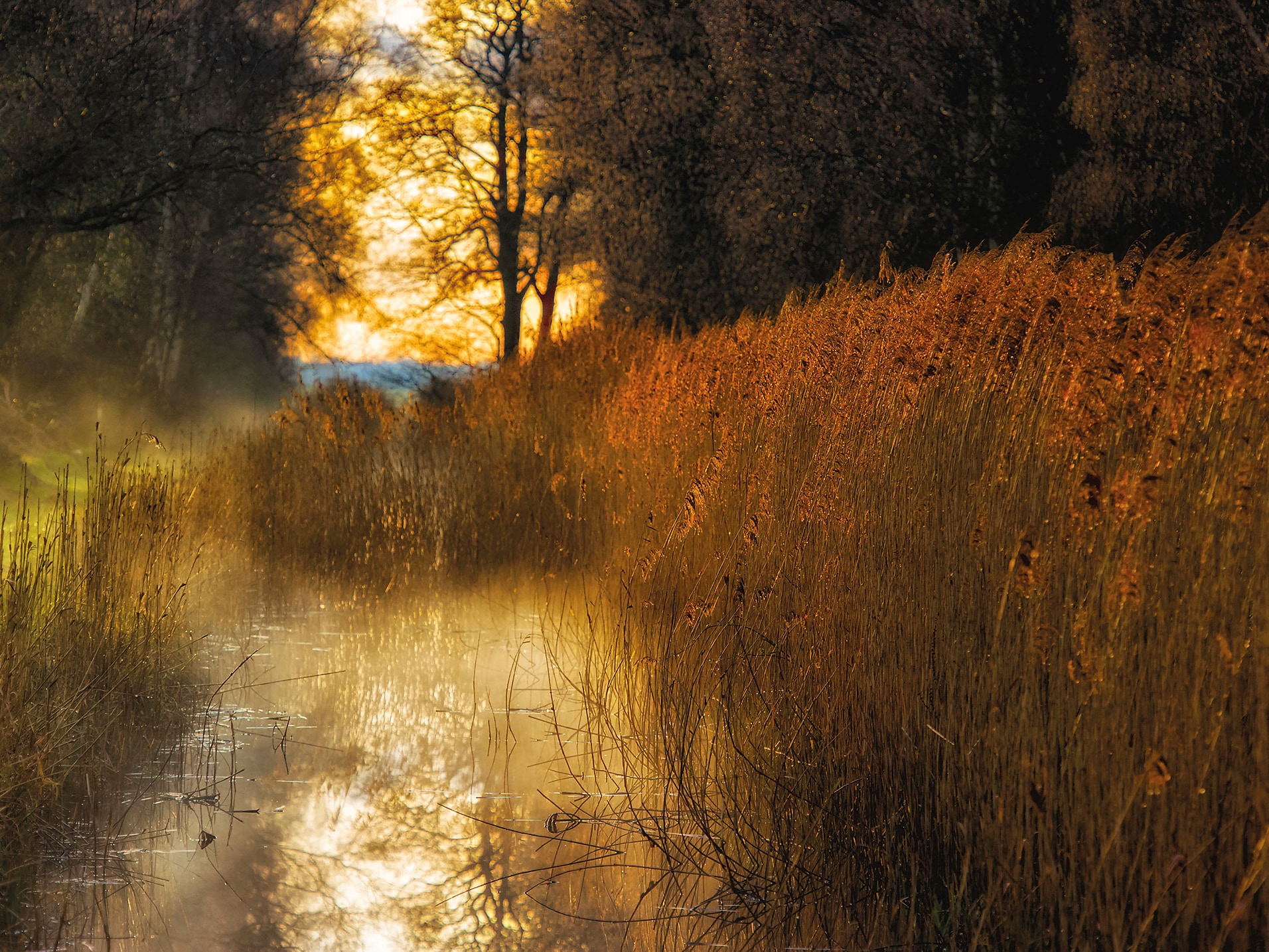 Wildlife Trust for Beds, Cambs & Northants - A Landmark Appeal.